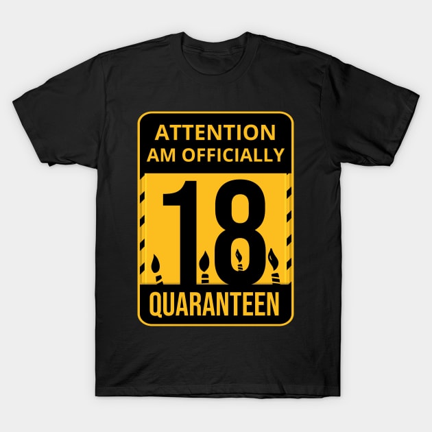 18th Birthday Officially a Quaranteen teenager 18 Years Old T-Shirt by heidiki.png